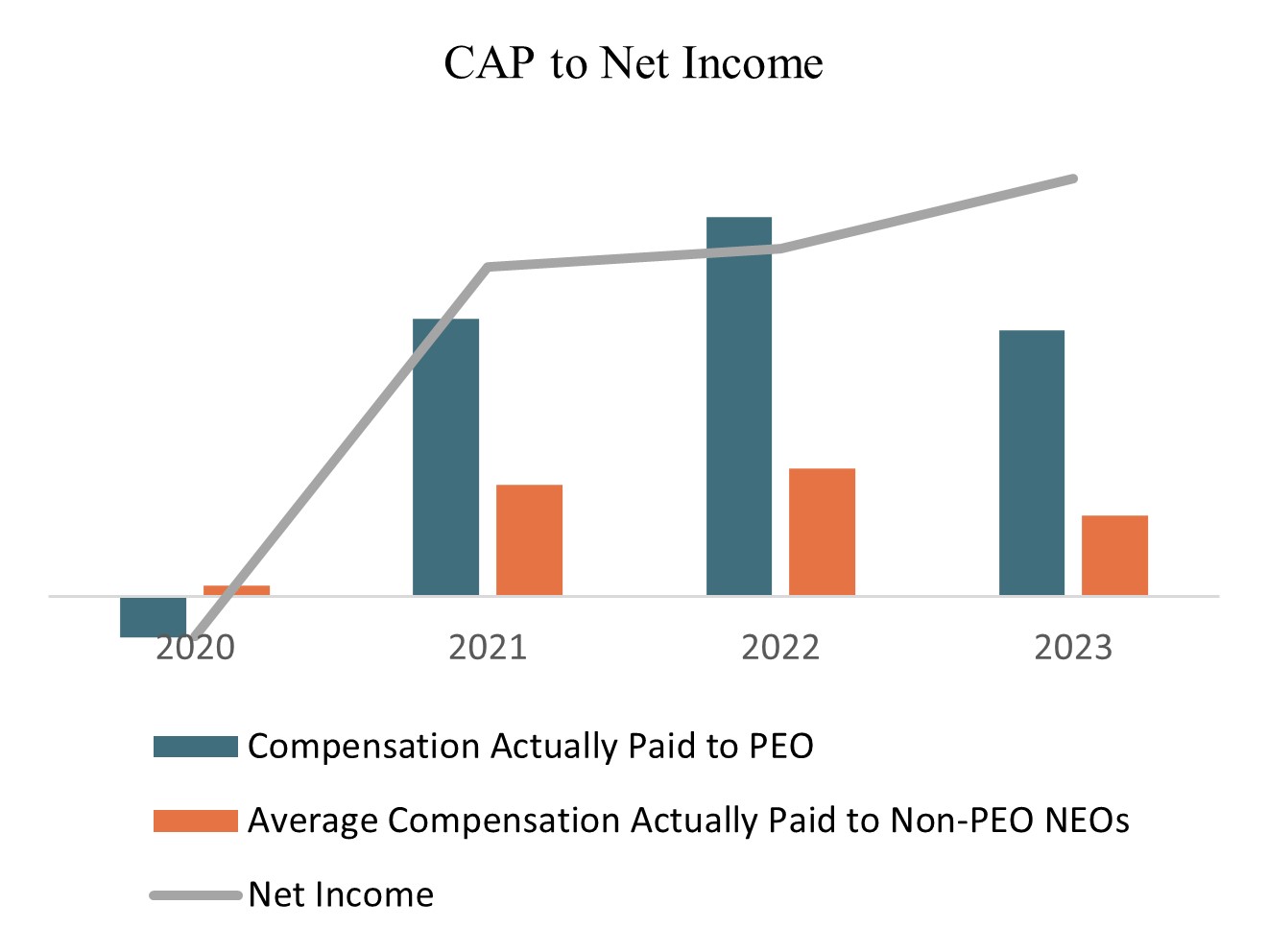 CAP to Net Income_2024.jpg